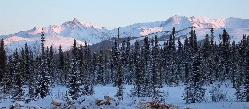 Denali Touch Of Wilderness B&B Healy Exterior foto